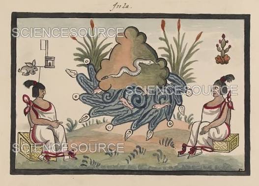 Tovar Codex, Aztec Rulers Tenoch and T | Stock Image - Science Source Images