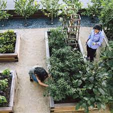 How To Grow A Chef S Garden Organic Vegetable Garden Organic Gardening Design Potager Garden
