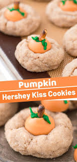 Pin On Fall Misc Holidays