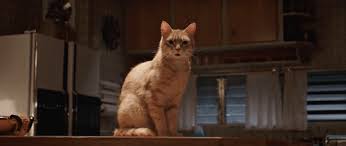 The Voices (2014) – Review - Mana Pop