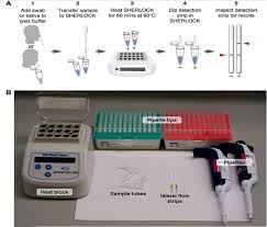 A crucial tool in molecular applications, these highly specialized instruments progressively enjoy advancements in design and mechanics over time, such as enhances in lid security, heat block. Mini Review Recent Progress In Rt Lamp Enabled Covid 19 Detection Sciencedirect