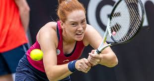 Image result for Seidelia