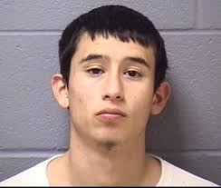 Blotter: Theft, Domestic Battery, Gambling Cheating, Other Charges