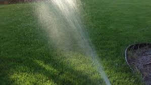 How long should i water my garden. How Often Should I Water My Lawn Good Life Landscaping