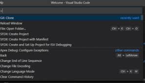 Xml Package To Retrieve Metadata From Org Salesforce Diaries