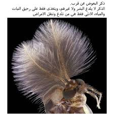 غرائب On Instagram شكرا لمن مر وترك لنا جميل اثره ادخل هنا Ajeaib Graiib M Alomh M Aqlk M Tehmk Instagram Black Hair Kpop Nature