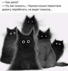 pin by tazik ok on zhiznennyj yumor animals cute cats cat drawing