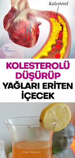 kolesterolu dusurup yaglari eriten icecek diy herbal remedies health vitamins diet and nutrition