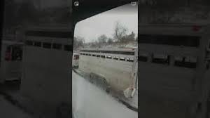 Pennsylvania route 309 (pa 309) is a state highway which runs for 134 miles (216 km) through pennsylvania in the united states. Snow Camel Tied To A Van On Rt309 During A Pa Snowstorm Youtube
