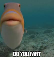 Pin On Memes Top Text Ok Buddy Retard