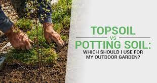 Good potting mixes are lighter and fluffier than topsoil. Topsoil Vs Potting Soil Which Should I Use For My Outdoor Garden