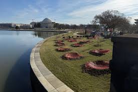 Cherry Blossom Season Approaches in DC and Maryland