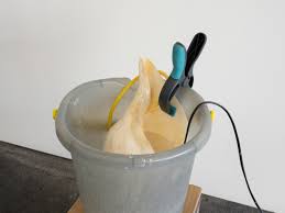 Bildergebnis für Vanessa Safavi