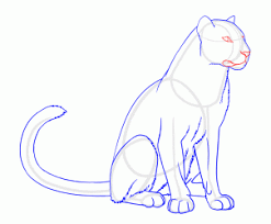 How To Draw Panthers Black Panthers Step 14 Black Panther Drawing Panther Art Animal Drawings