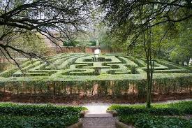 We are a roller coaster junkie family, so when planning our big #austin2boston road trip this summer, we made sure to hit up some popular east coast theme parks. Garden Maze Colonial Garden Colonial Williamsburg Colonial Williamsburg Virginia