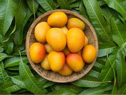 For all other lines, the discount will be equal or lower. Types Of Mangoes In India 15 Famous Mango Varieties In India And How To Identify Them