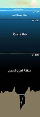 يُستخدم العلاج المعرفي السلوكي لعلاج نطاق واسع من المشكلات. Ù…Ù†Ø·Ù‚Ø© Ø§Ù„Ø¨Ø­Ø± Ø§Ù„Ù…ÙØªÙˆØ­ ÙˆÙŠÙƒÙŠØ¨ÙŠØ¯ÙŠØ§
