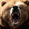 Tons of awesome cute bears wallpapers to download for free. 3