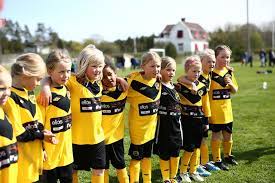 Maybe you would like to learn more about one of these? If Elfsborg European Football For Development Network