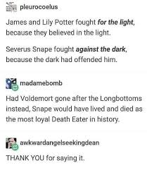 Pin By Rose Gaston On Why Yes I Am A Fan Girl Harry Potter Universal Harry Potter Obsession Harry Potter Funny