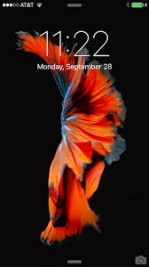 set and use live wallpapers on iphone 6s