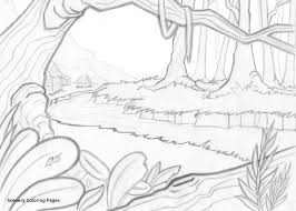 It is one huge rainforest with a massive variety of animals and insects. Easy Jungle Forest Drawing Novocom Top