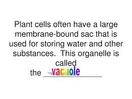 Maybe you would like to learn more about one of these? Ppt Because Has 4 Equidistant Binding Sites It Can Readily Form Single Double And Even Triple Bonds Powerpoint Presentation Id 497377