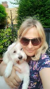 He's home from the groomers, all cleaned up