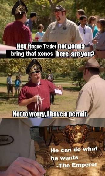 Rogue trader memes sharing