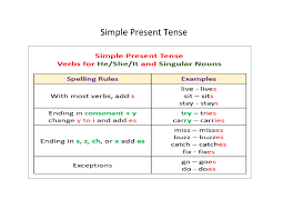 Simple Present Tense