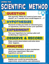 Resultado De Imagen De Science Definition For Kids Metodo Cientifico Proyectos De Ciencia Experimentos Para Feria Cientifica
