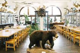 the nature lab risd rhode island ocean house providence athenaeum
