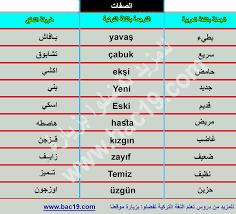الكلمات و العبارات الأكثر استخداما في اللغة التركية