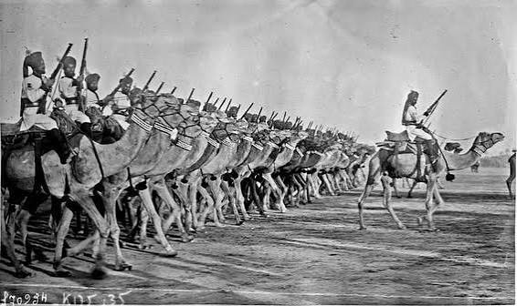 The Ganga Risala / Bikaner Camel Corps of Maharaja Ganga Singh of Bikaner . The Maharaja and Prince of Wales reviewing the troops. ca. 1921 . . #camelcrops #bikaner #raajghraanno #royal #india #