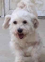 HowHows little bramble settled in??