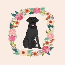 Black And Tan Labrador For Sale Pin On Dibujos