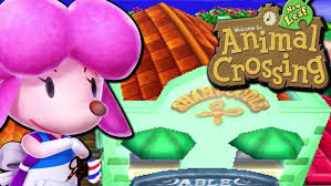 The color of the contacts you get is dependent on how you answer harriet's questions. Shampoodle Animal Crossing Wiki Fandom