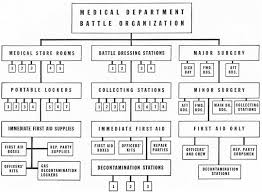 organization chart onboard ship 2019