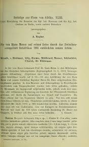 Image result for Tephrosia argyrolampra