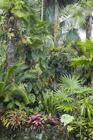 Required Reading Designing With Palms Jardin Tropical Amenagement Jardin Ombre Et Photo Jardin