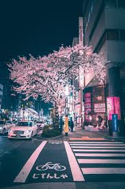 Inefekt69 Chuo Tokyo Japan Good Vibes Heal Ebook Aesthetic Japan Japan Photography Japan Travel