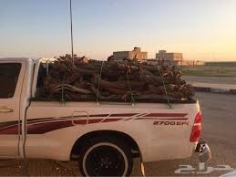 نتيجة بحث الصور عن حطب ارطى Suv Vehicles Suv Car