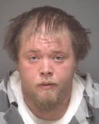 2 charged in dog shooting in Albemarle