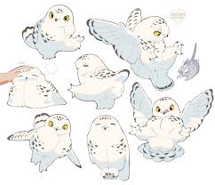 Hiyo On Twitter Cute Drawings Cute Animal Drawings Mythical Creatures Art