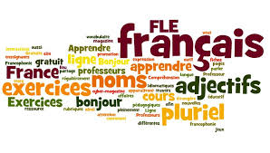Resultado de imagen de PLURIEL FLE