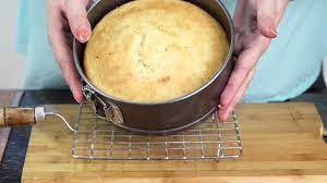 It is really dense and i'm not thrilled with it. No Butter Oil Sponge Cake Recipe How To Bake Low Fat Sponge Cake Youtube