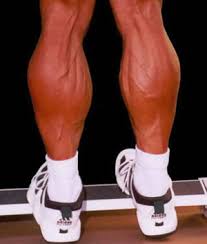 They use your body weight to strengthen and tone the gastrocnemius. Calves Exercises For Men