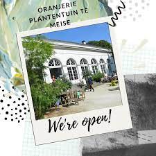 Plantentuin meise herfst 9 oktober 2018. Oranjerie Plantentuin Meise é¦–é¡µ Facebook