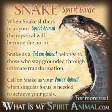 Snake Symbolism Meaning Spirit Totem Power Animal