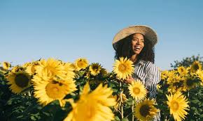 87 Sunflower Quotes To Learn And Grow From 2021